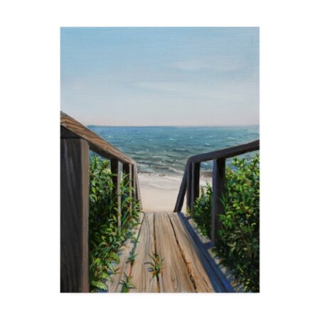Paul Walsh 'Beach Walk Way' Canvas Art,18x24